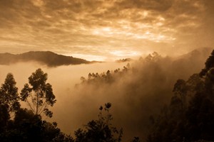 Ranni mlha v oblasti Bwindi