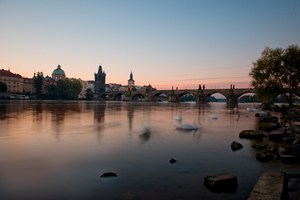 Praha a labutě