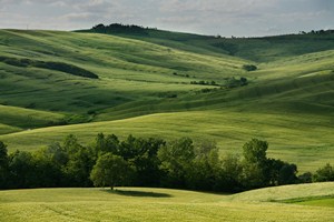 Toskánské jaro