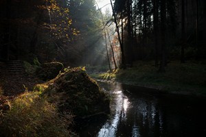 Kamenice