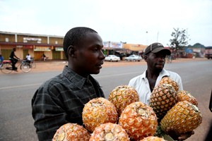 ... nebo obchodníky, od kterých jsme nakonec koupili výborné ananasy.